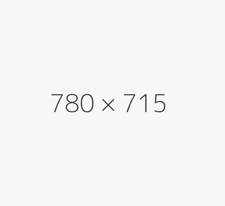 terms-1